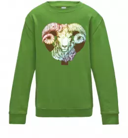 Дитячий світшот Дитячий світшот