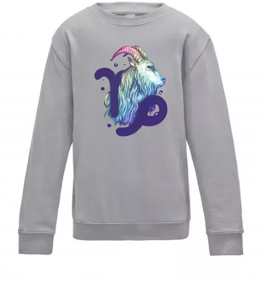 Детский Свитшот Козеріг знак зодіаку Серый меланж фото