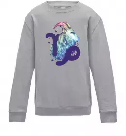 Детский Свитшот Козеріг знак зодіаку Серый меланж фото