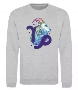 Свитшот Козеріг знак зодіаку Серый меланж фото