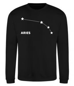 Свитшот Aries stars