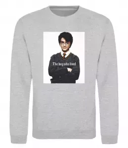 Свитшот The boy who lived Серый меланж фото