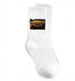 Шкарпетки Кільце Всевладдя Білий фото