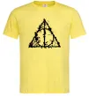 Мужская футболка Смертельні реліквії бризки Лимонный фото