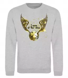 Свитшот I open at the close Серый меланж фото