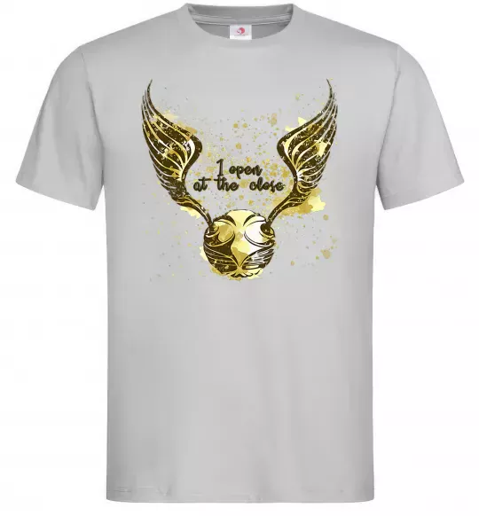 Мужская футболка I open at the close Серый фото