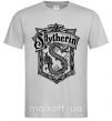 Мужская футболка Slytherin logo Серый фото