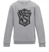 Детский Свитшот Slytherin logo Серый меланж Детский Свитшот Slytherin logo Серый меланж фото