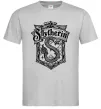 Мужская футболка Slytherin logo Серый фото