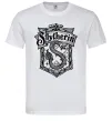 Мужская футболка Slytherin logo Белый фото