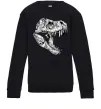 Детский Свитшот Dino skull Черный Детский Свитшот Dino skull Черный фото