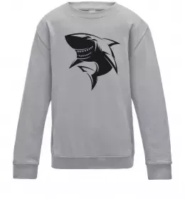 Дитячий світшот