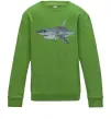 Детский Свитшот 3D shark Лаймовый фото