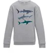 Дитячий світшот Три акули Сірий меланж фото
