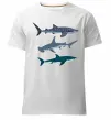 Чоловіча преміум футболка Три акули Білий фото