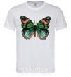 Мужская футболка Оранжево-зеленая бабочка Белый фото