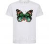 Детская футболка Оранжево-зеленая бабочка Белый фото