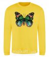 Світшот Оранжево-зеленая бабочка Сонячно жовтий фото
