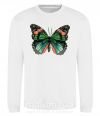Світшот Оранжево-зеленая бабочка Білий фото