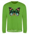 Свитшот Оранжево-зеленая бабочка Лаймовый фото