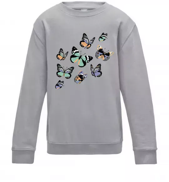 Дитячий світшот Малюнок метелики Сірий меланж фото