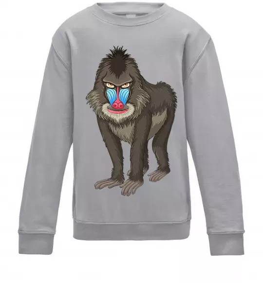 Детский Свитшот Хитра мавпа Серый меланж фото