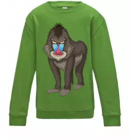 Детский Свитшот Cool monkey Серый меланж фото Детский Свитшот Cool monkey Серый меланж фото