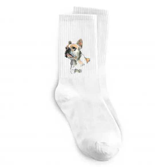 Шкарпетки Бульдог Білий фото