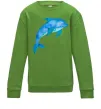 Детский Свитшот Акварельний дельфін Лаймовый фото