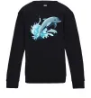 Детский Свитшот Прижок дельфіна Черный Детский Свитшот Прижок дельфіна Черный фото