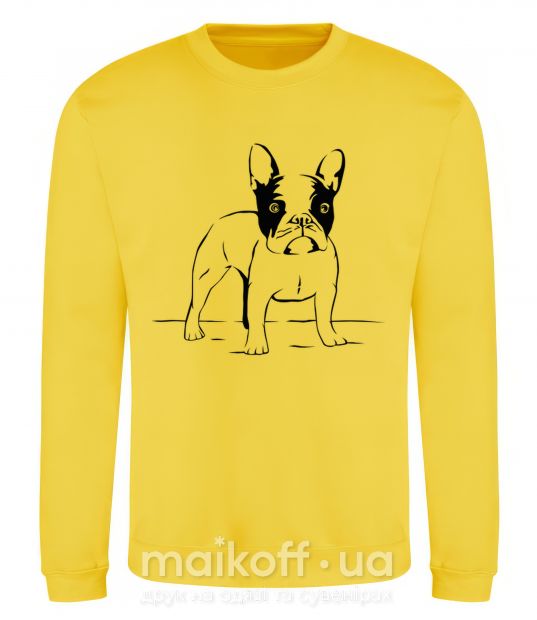 Свитшот Bulldog Солнечно желтый фото