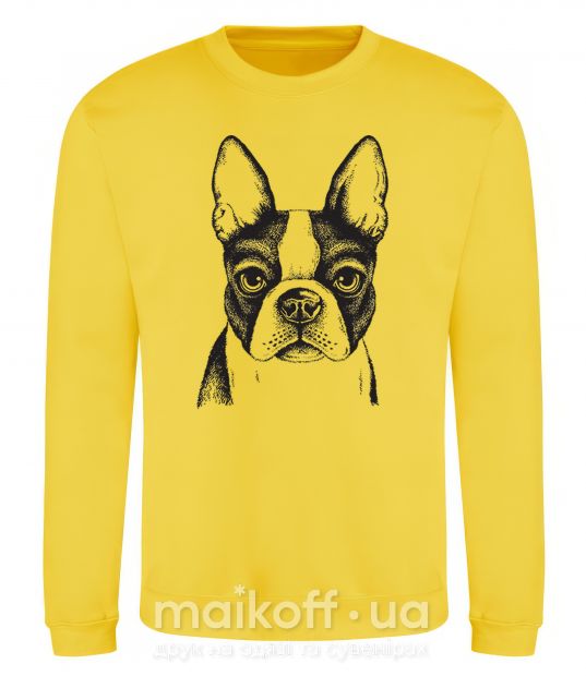 Світшот Bulldog illustration Сонячно жовтий фото