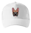 Кепка Малюнок морда бульдога Белый фото