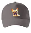 Кепка Multicolor bulldog Серый фото