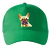 Кепка Multicolor bulldog Зелений фото