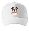 Кепка Малюнок акварелю бульдог Білий фото