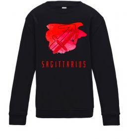 Дитячий світшот Фарби стрілець