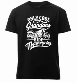 Мужская премиум футболка