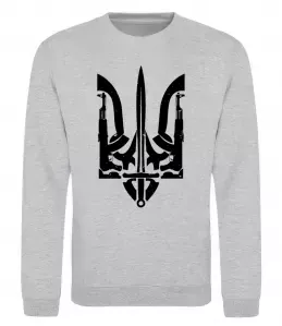 Свитшот Герб - фарби Серый меланж фото