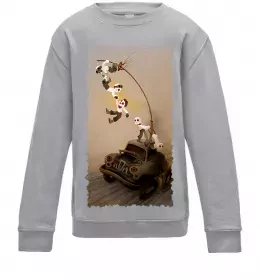 Дитячий світшот