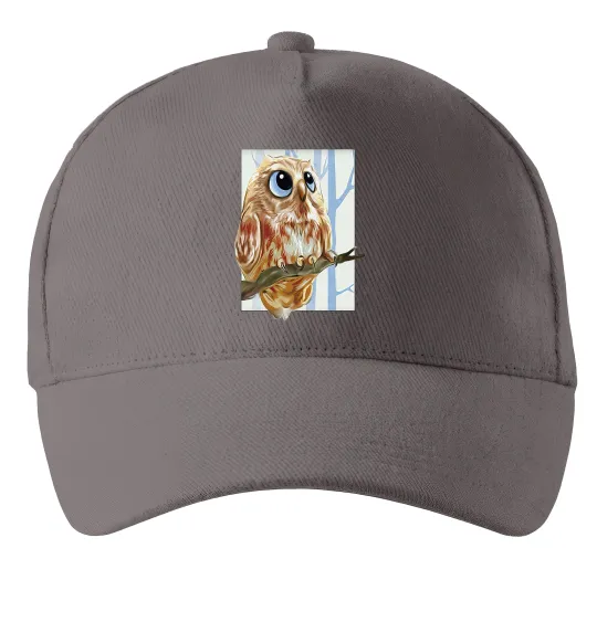 Кепка Сова маслом Серый фото