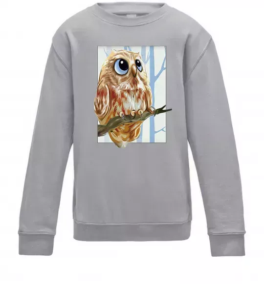 Детский Свитшот Сова маслом Серый меланж фото
