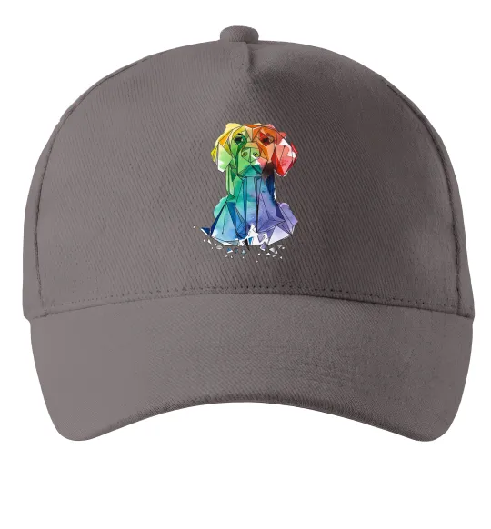 Кепка Лабрадор кольоровий Серый фото