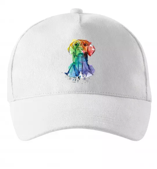 Кепка Лабрадор кольоровий Білий фото