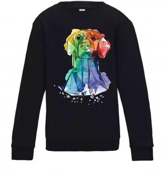 Детский Свитшот Лабрадор кольоровий Черный фото