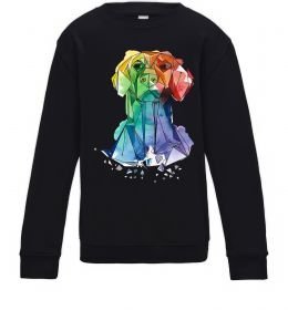 Дитячий світшот Лабрадор кольоровий