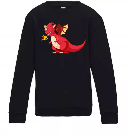 Детский Свитшот Red Dragon Черный фото