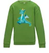 Детский Свитшот Бірюзовий Дракон Лаймовый фото