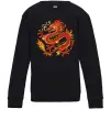 Детский Свитшот Дракон полум'я Черный Детский Свитшот Дракон полум'я Черный фото
