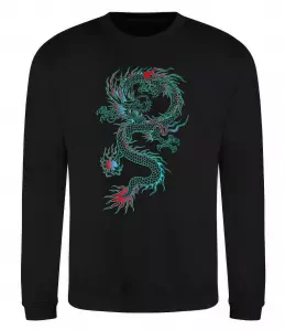 Свитшот Gradient dragon Черный фото